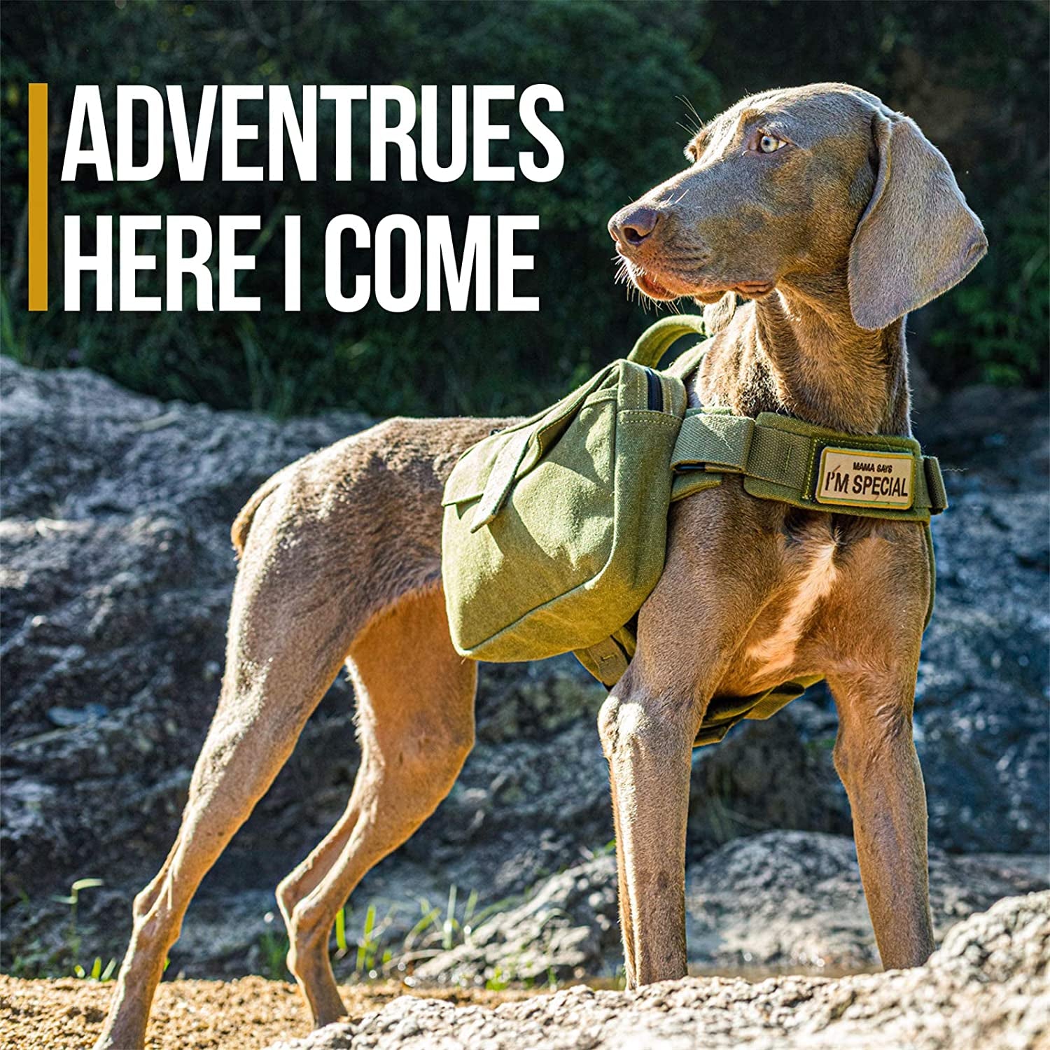 Medium & Large Dog Hiking Backpack Saddle Bag - Ranger Green, Large