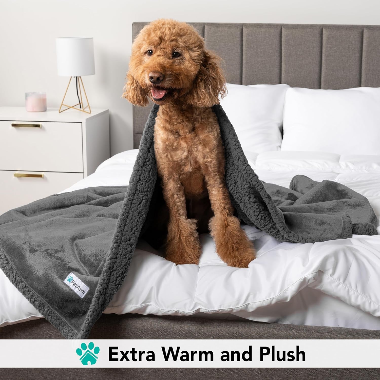 Extra Large Dog Blanket for Bed - Soft Reversible Fleece Protector for Furniture, Couch, Car, and Kennel - Plush Sherpa Cat Throw - Washable Twin Size 60x80 in Solid Dark Gray