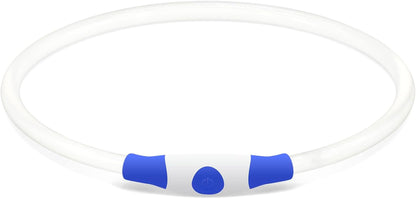 USB Rechargeable LED Dog Collar - Enhanced Night Visibility for Small, Medium, and Large Dogs (Blue)