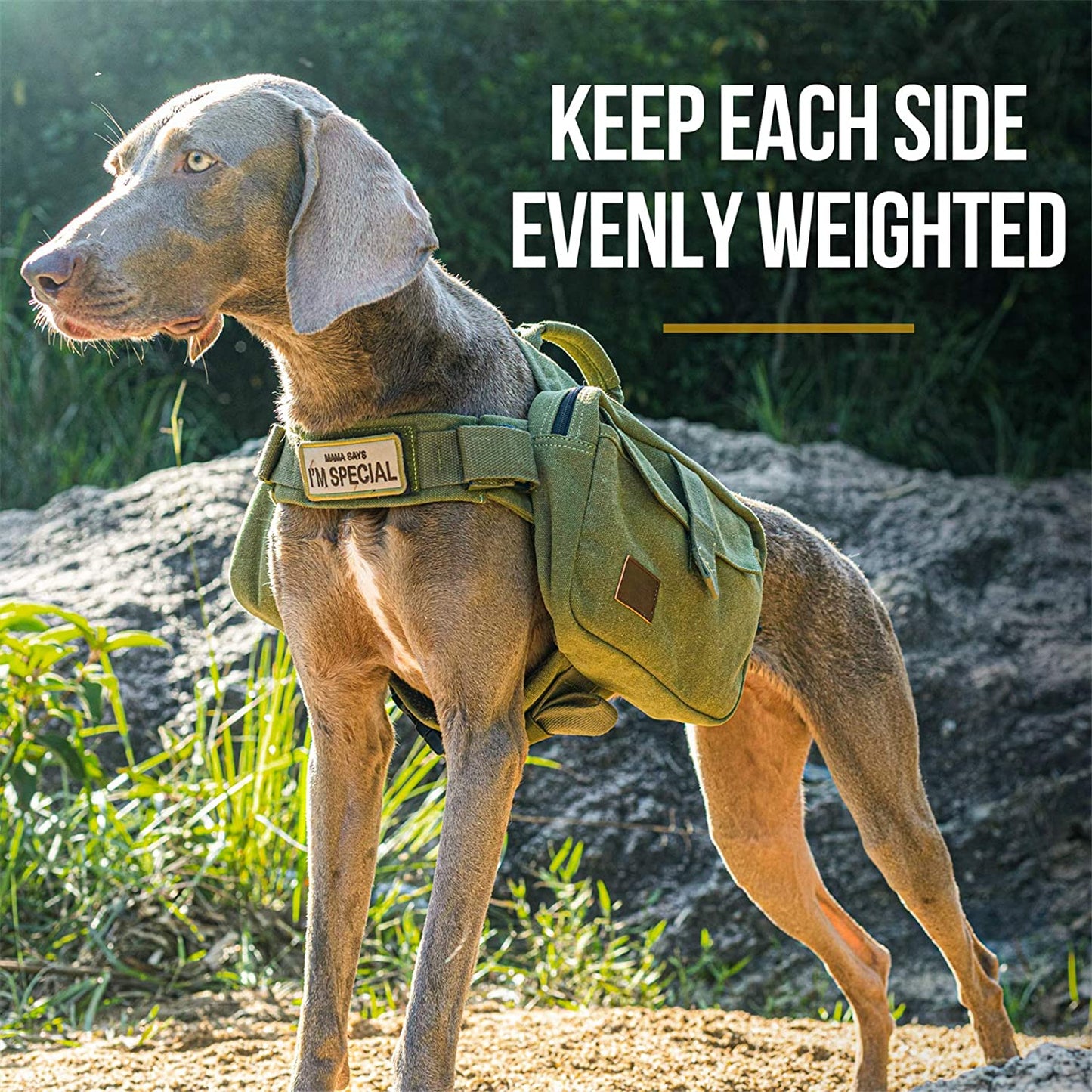 Medium & Large Dog Hiking Backpack Saddle Bag - Ranger Green, Large
