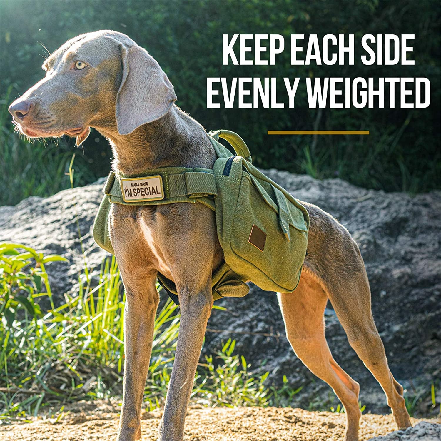 Medium & Large Dog Hiking Backpack Saddle Bag - Ranger Green, Large
