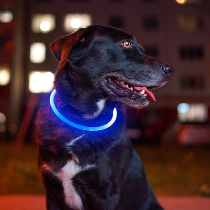 USB Rechargeable LED Dog Collar - Enhanced Night Visibility for Small, Medium, and Large Dogs (Blue)