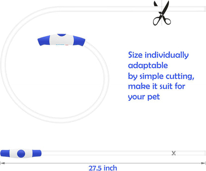 USB Rechargeable LED Dog Collar - Enhanced Night Visibility for Small, Medium, and Large Dogs (Blue)