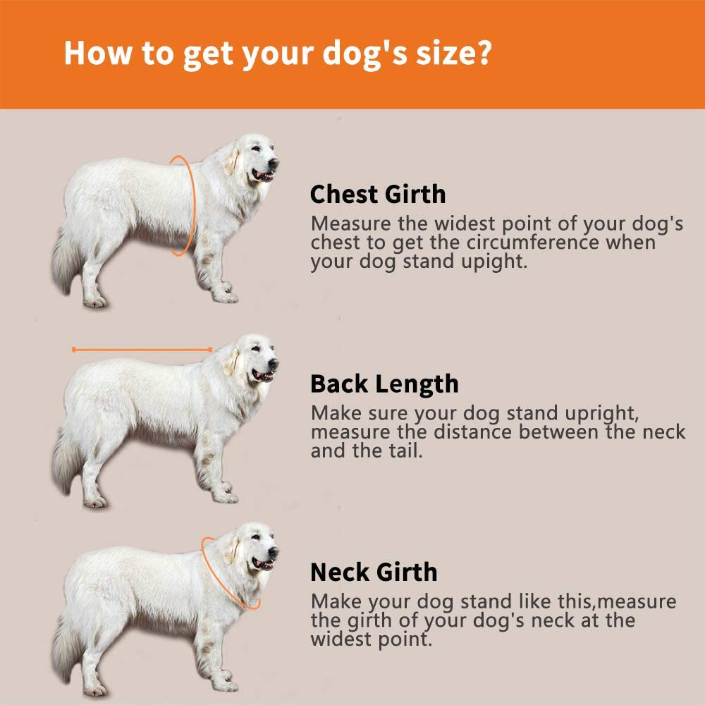 Dog Life Jacket - Adjustable Pet Swimming Vest for Short-Nosed Breeds (Pug, Bulldog, Poodle, Bull Terrier) - Medium, Orange