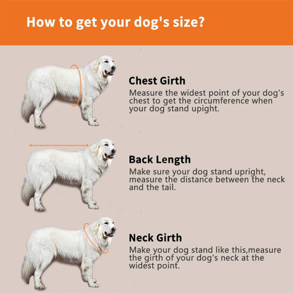 Dog Life Jacket - Adjustable Pet Swimming Vest for Short-Nosed Breeds (Pug, Bulldog, Poodle, Bull Terrier) - Medium, Orange