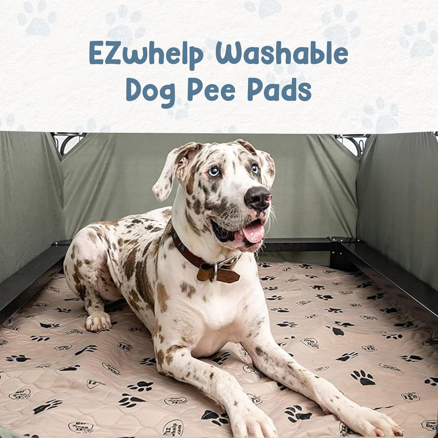 Reusable Waterproof Dog Pee Pads - Washable Potty Training and Whelping Mats, 36x48 Inch, Set of 2 with Rounded Corners